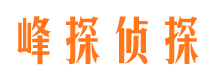 江阳市侦探公司